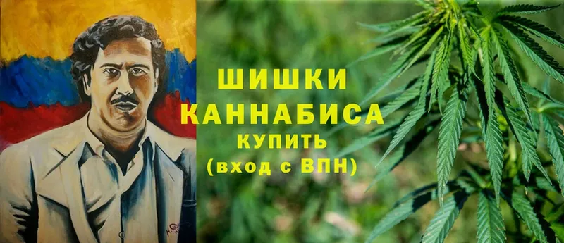 Бошки марихуана THC 21%  магазин продажи   нарко площадка как зайти  Нестеров 